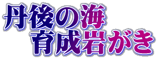 丹後の海 　育成岩がき