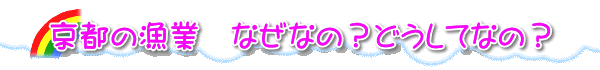 京都の漁業　なぜなの？どうしてなの？